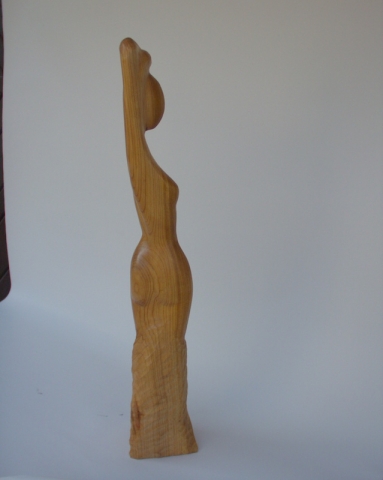 Akt_tolgyfa__63x11x10cm__220_.