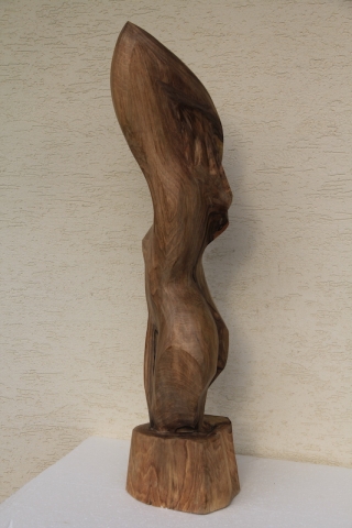 Diofa_kompozicio__70cm__190.-___