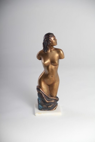 Torzo_(bronz)__27x20x8cm__800_.___